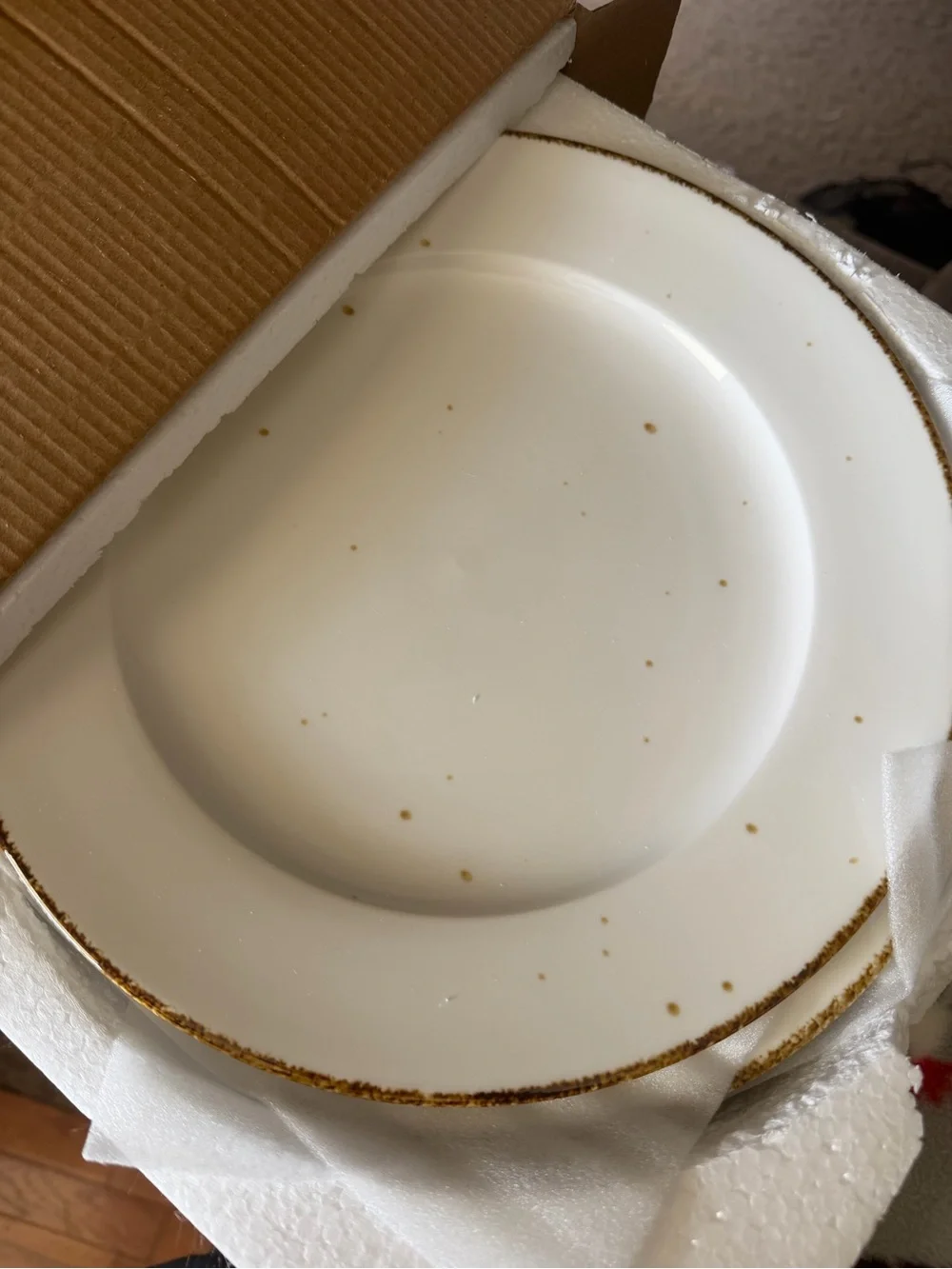 Ivory Ceramic Dinner Plate with Gold Speckle Edge